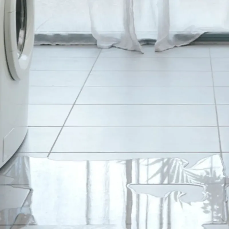 Appliance Leak Cleanup in Santa Barbara, CA